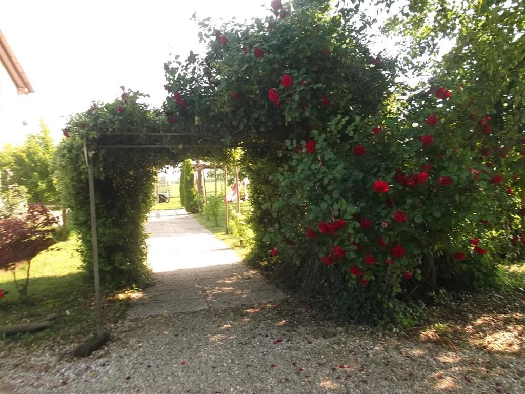 Agriturismo La Prateria Gazzo  Exteriör bild